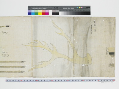 Shousouin gyobutsu makimono