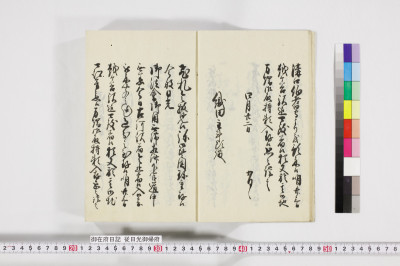 Gozaifu nikki : nikkou yori gokifu