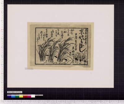 Toritoshi daihounen : matsudai hanashi