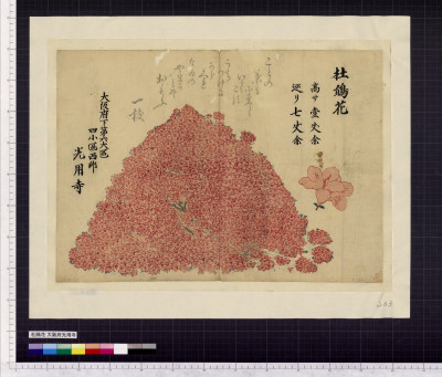 Satsuki : oosakafu kouyouji