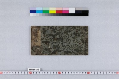 Ekiro bibouroku : godouchuu gojoumoku