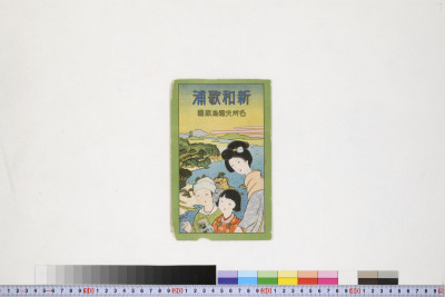 Shin wakanoura meisho zue