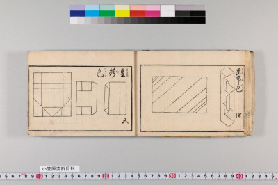 Ogasawararyuu orimegata