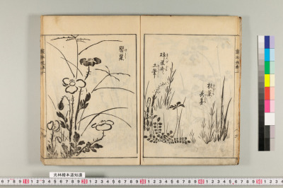 Kourin ehon michishirube